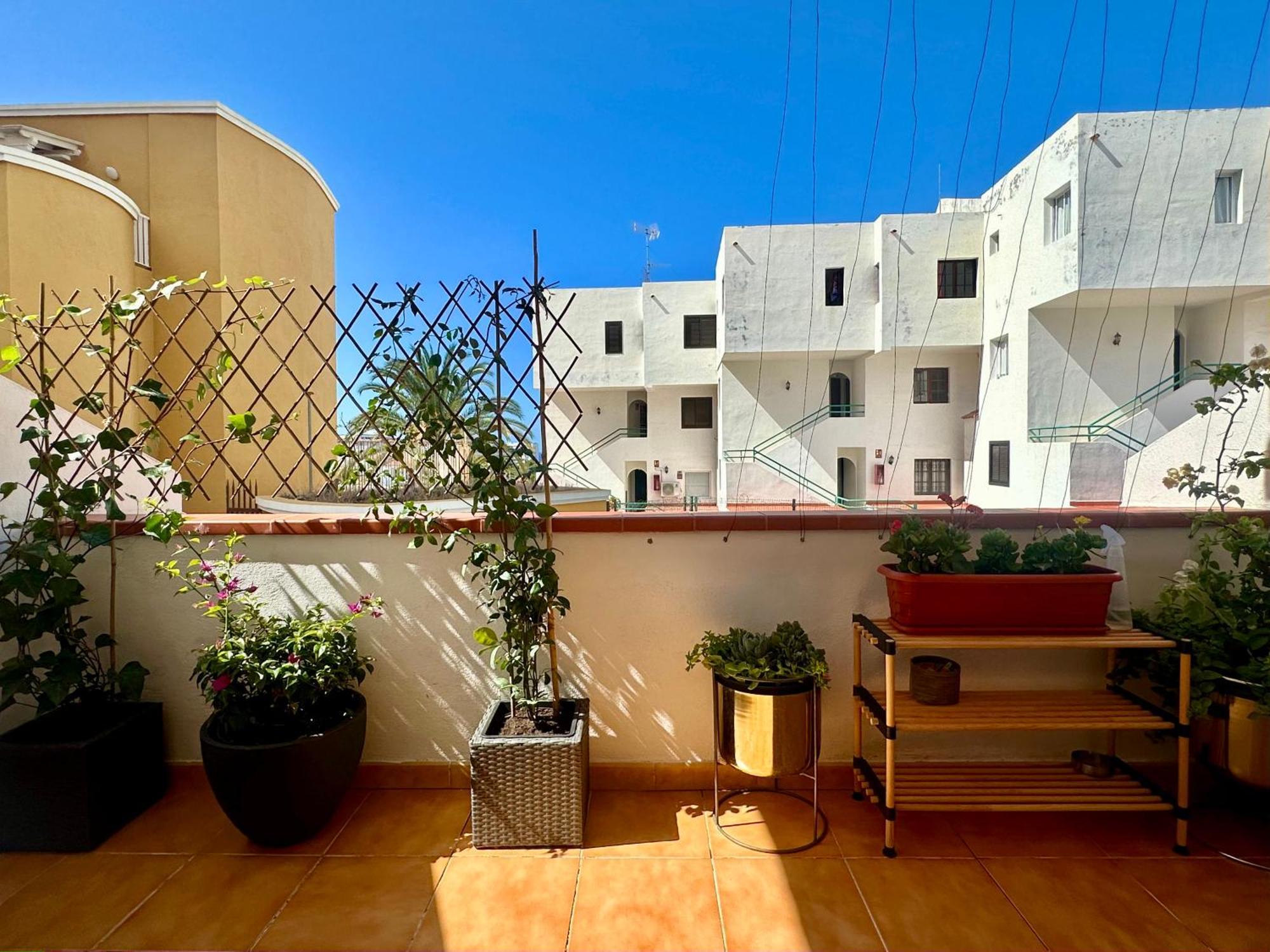 Apartment In Ocean Park Ii, Costa Adeje, Tenerife מראה חיצוני תמונה