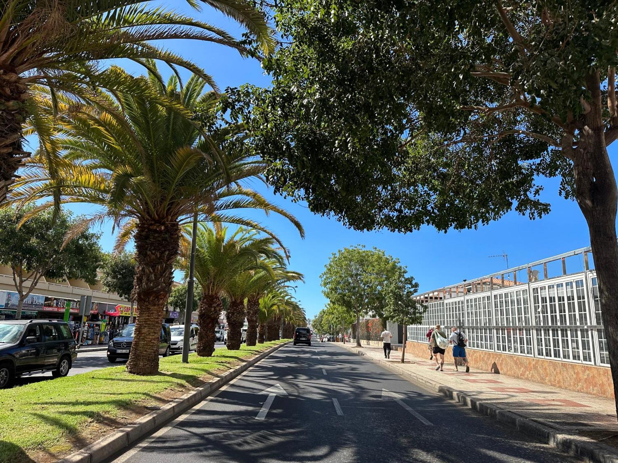 Apartment In Ocean Park Ii, Costa Adeje, Tenerife מראה חיצוני תמונה